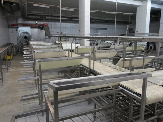 Used Carcasses cutting line for Sale (Auction Premium) | NetBid Industrial Auctions